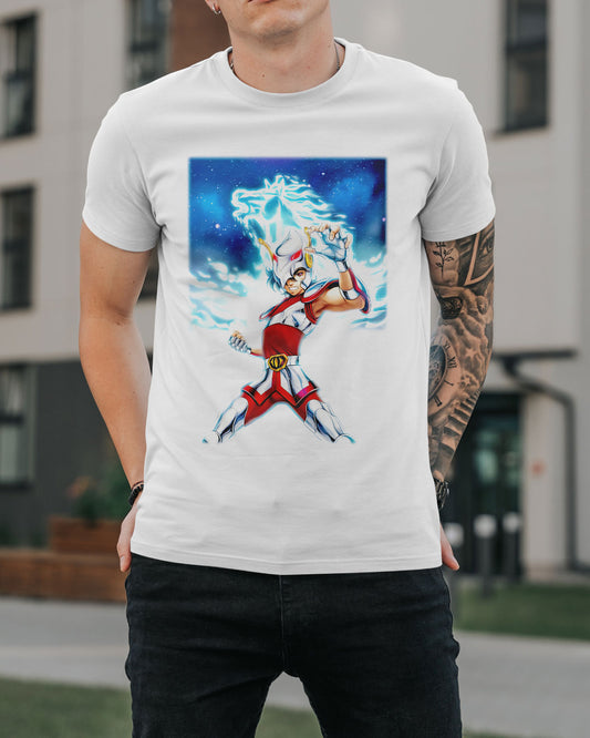 Anime - Caballeros del Zodiaco - Saint Seiya